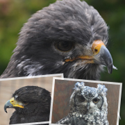 課題のバナー02